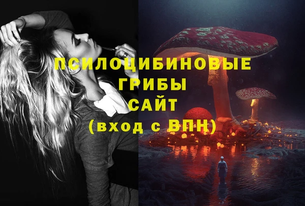 бошки Няндома