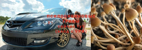 винт Липки