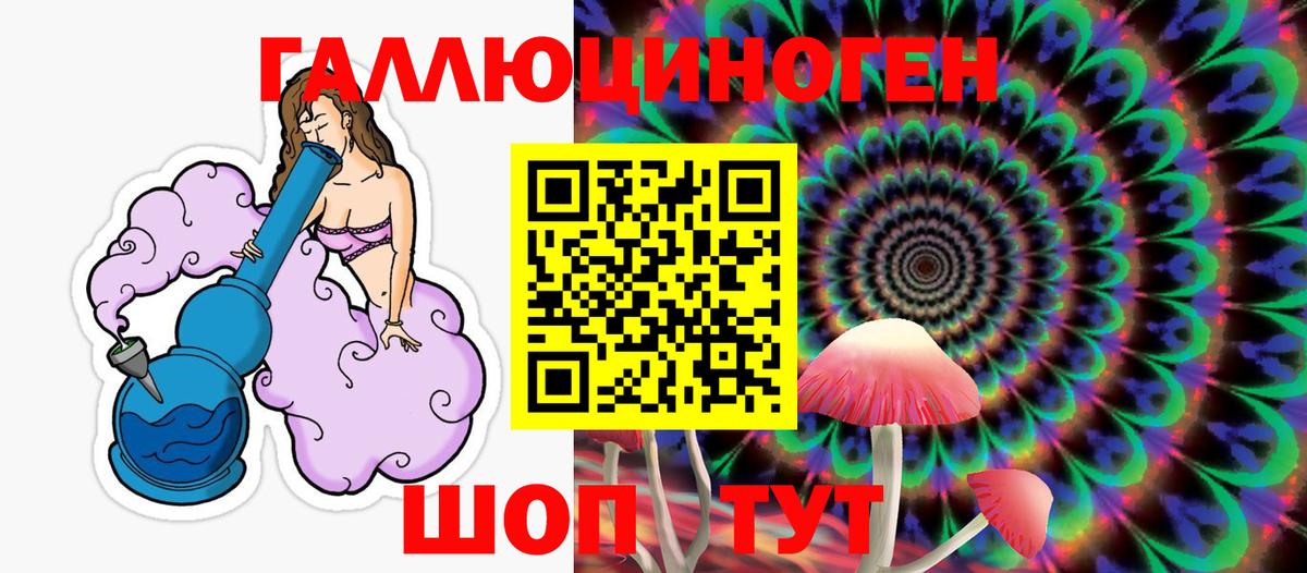 Кудрово  Псилоцибиновые грибы Psilocybine cubensis  Вход с VPN 