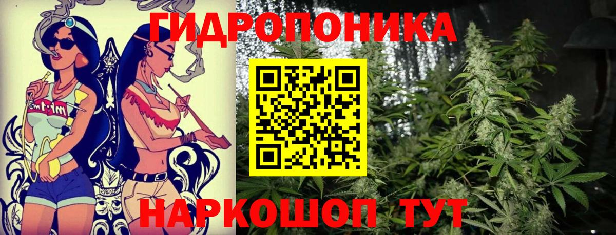 Каннабис White Widow  Вход с VPN  Каннабис MAZAR  Конопля LSD WEED  Кудрово  МАРИХУАНА Ganja 